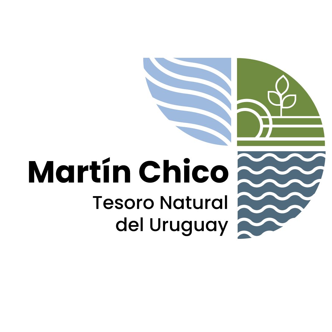 Martín Chico